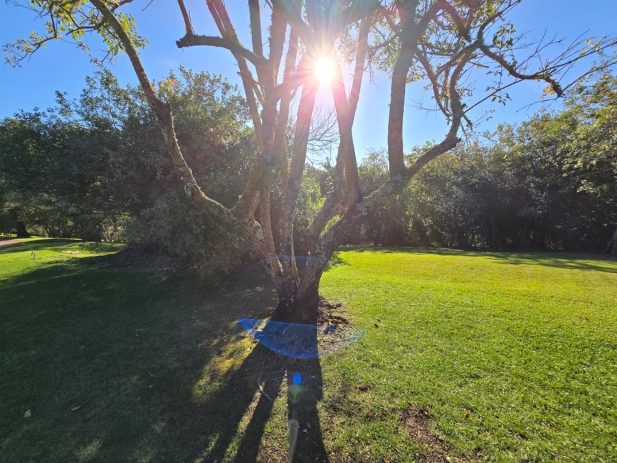 Commercial Property for Sale in Wilderness Heights Western Cape